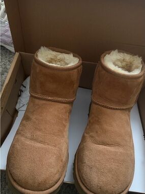 UGG Chestnut W Classic Mini II Boots